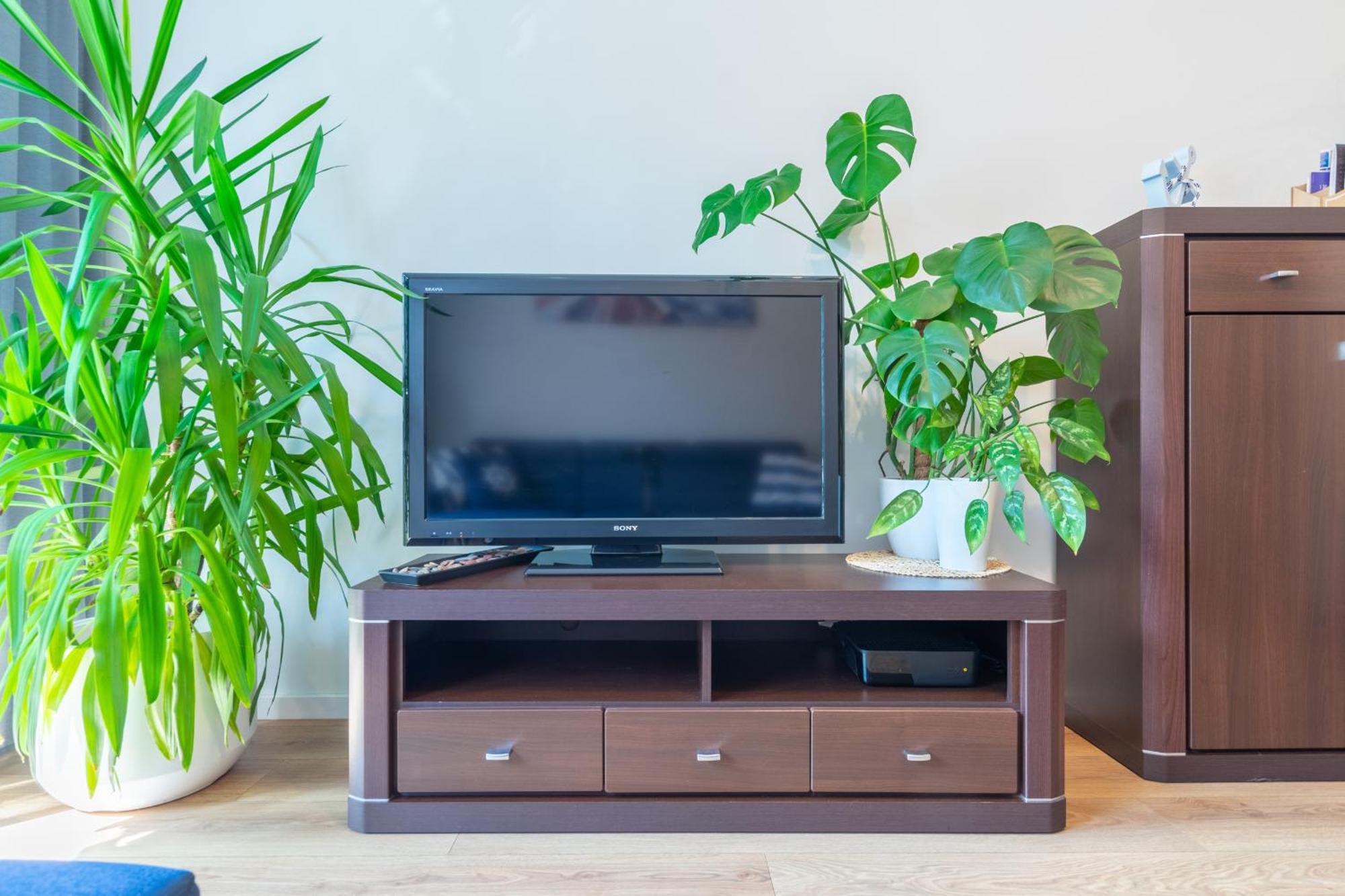 Apartament Anchor Przymorze Гданск Екстериор снимка